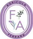 FA Salento